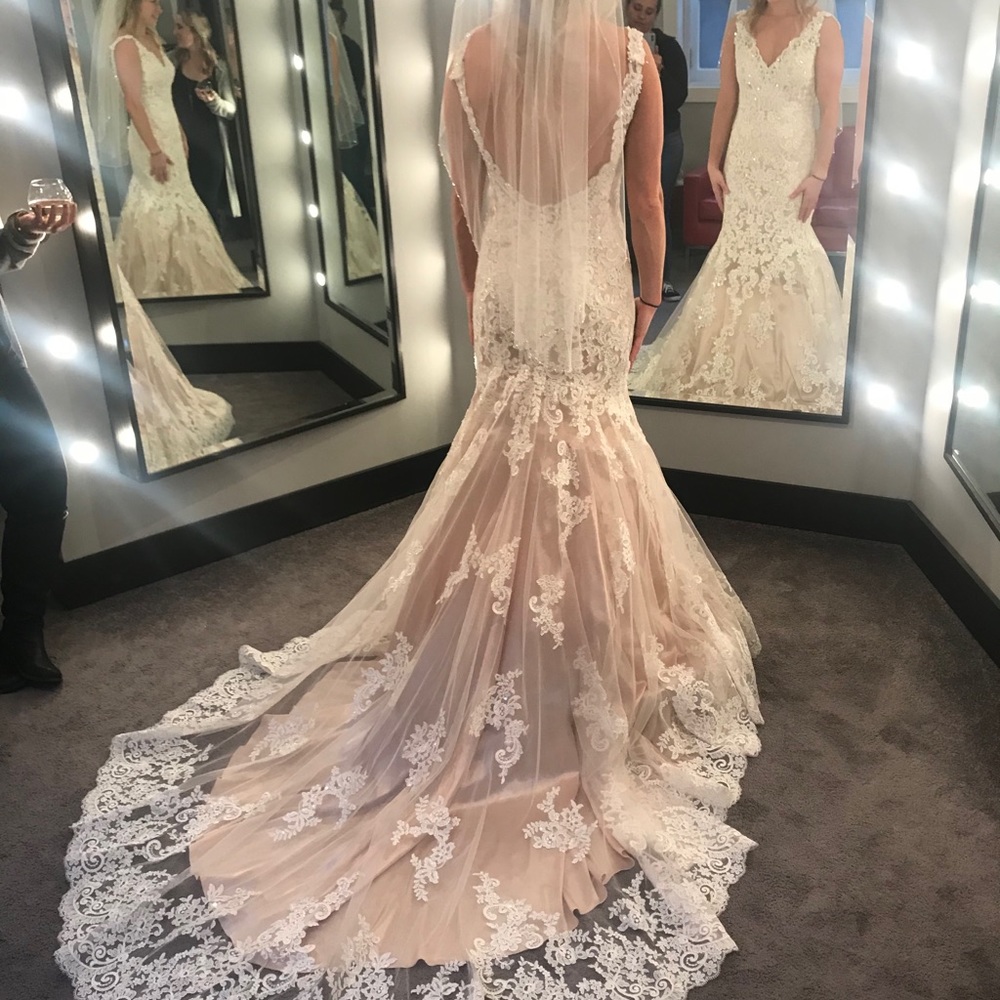 Beautiful wedding dress, champagne underneath with lace and sparkle overlay. - Picture 2 of 12